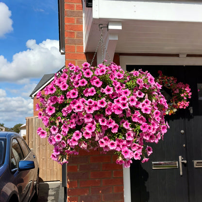 🔥Last Day 60% OFF🔥Sunscreen and Rainproof Artificial Petunias Flowers