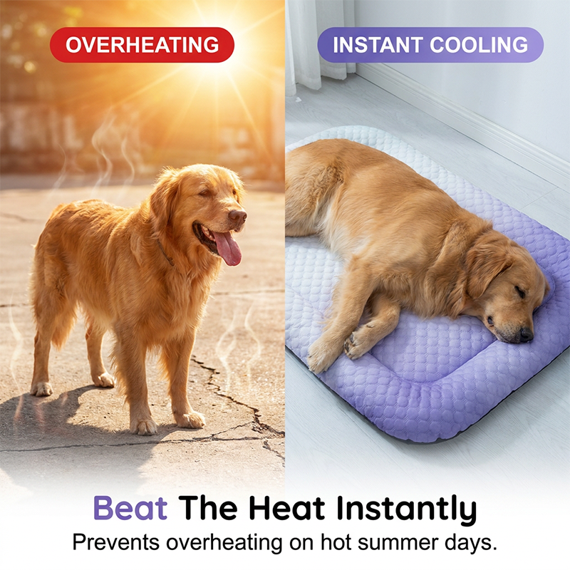 🔥Summer Hot Sale 60% OFF🧊❄️Pet Cooling Pad Mat for Dogs and Cats🐶🐱Ice Silk Summer Cool Bed Blanket in Gradient Colours🐾
