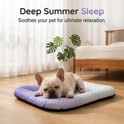 🔥Summer Hot Sale 60% OFF🧊❄️Pet Cooling Pad Mat for Dogs and Cats🐶🐱Ice Silk Summer Cool Bed Blanket in Gradient Colours🐾
