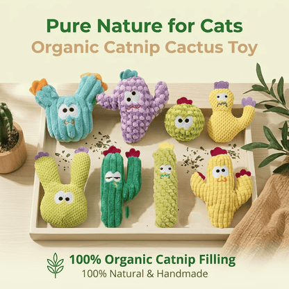 🎁Last Day Promotion 50% OFF🔥Handmade Soft Cactus Kitten Chew Toys with Natural Catnip