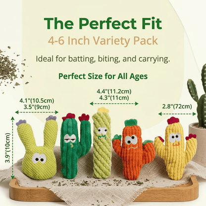 🎁Last Day Promotion 50% OFF🔥Handmade Soft Cactus Kitten Chew Toys with Natural Catnip