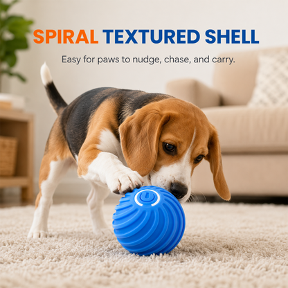 Smart Interactive Bouncing Ball