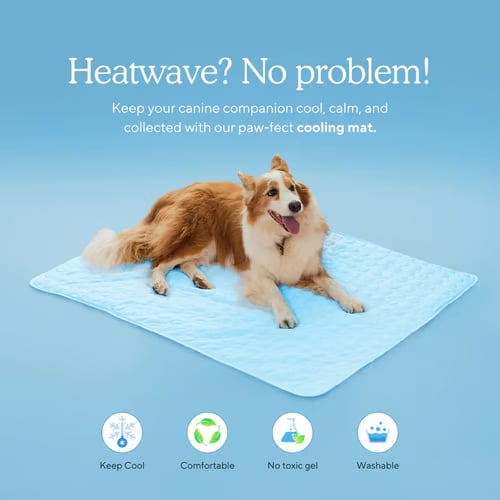 🧊Ice Silk Pet Cooling Mat, Washable Breathable Cooling Pad For Dogs Cats, Non-Slip Summer Heat Relief Bed For Indoor Travel