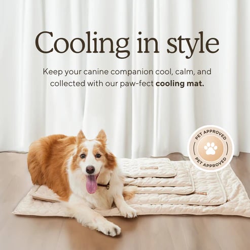 🧊Ice Silk Pet Cooling Mat, Washable Breathable Cooling Pad For Dogs Cats, Non-Slip Summer Heat Relief Bed For Indoor Travel