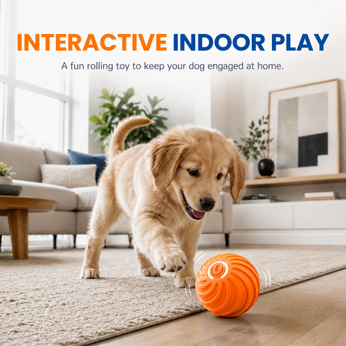 Smart Interactive Bouncing Ball