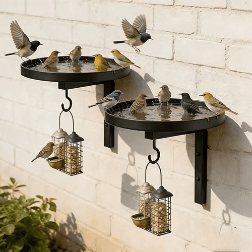 📢📢40% OFF !!!⏰Wall-Mounted Metal Bird Bath – Antique Bronze Finish 🐦🛁🧱🏡