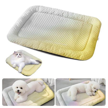 🔥Summer Hot Sale 60% OFF🧊❄️Pet Cooling Pad Mat for Dogs and Cats🐶🐱Ice Silk Summer Cool Bed Blanket in Gradient Colours🐾