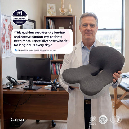 Ergonomic Memory Foam Seat & Back Cushion — Full Support for Tailbone, Coccyx & Lumbar Relief