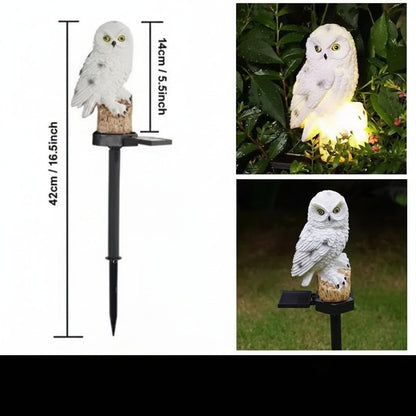 🦉Solar Owl Pathway Light, Brighten Your Garden Walkway