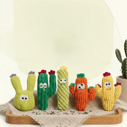 🎁Last Day Promotion 50% OFF🔥Handmade Soft Cactus Kitten Chew Toys with Natural Catnip