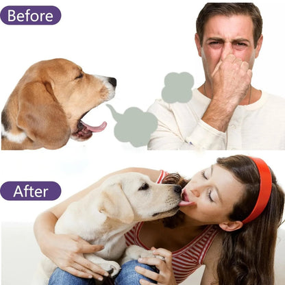 🔥#1 Bestseller - Sconto del 49%丨Pet Tartar Remover Foam