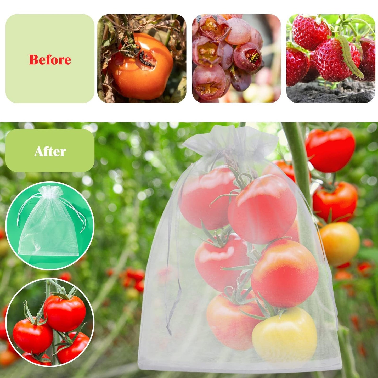 🔥Fruit Protection Bags