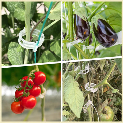 🔥300Pcs Heavy-Duty Tomato Trellis Clips