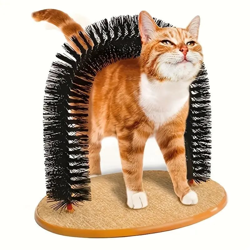 🐈Cat Arch Self-Cleaning Cat Massage Toy