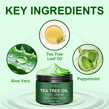 🥳2026 HOT SALE🥳💞50K+ Sold ✨Soothing Aloe Vera & Tea Tree Foot Moisturizer, Repairing Dry Cracked Feet Skin Care Cream