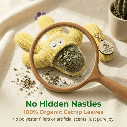 🎁Last Day Promotion 50% OFF🔥Handmade Soft Cactus Kitten Chew Toys with Natural Catnip