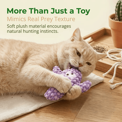 🎁Last Day Promotion 50% OFF🔥Handmade Soft Cactus Kitten Chew Toys with Natural Catnip