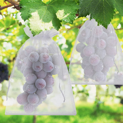 🔥Fruit Protection Bags