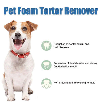 🔥#1 Bestseller - Sconto del 49%丨Pet Tartar Remover Foam