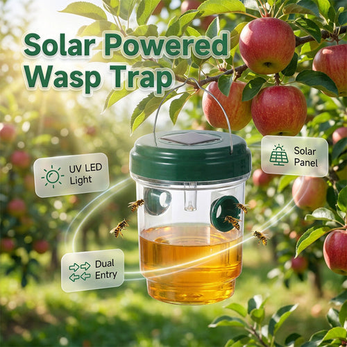 🔥New Hot Selling❤️‍🔥Solar Powered Hanging Wasp Trap