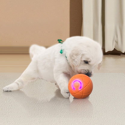 🐾 AUTO-BOUNCING SMART PET BALL WITH REMOTE CONTROL— 3 Interactive Modes | Chew-Resistant E-TPU | USB-C Rechargeable 🎾